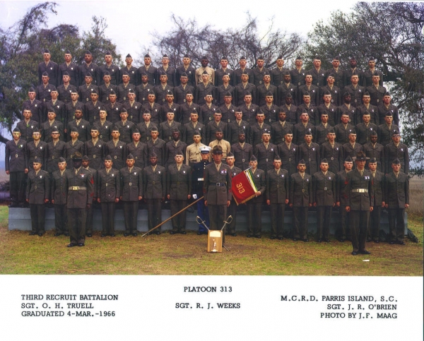 1966,MCRD Parris Island,Platoon 313