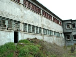 Fort Ord #6