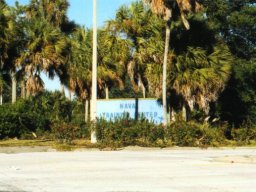 Naval Training Station Orlando #5