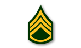 ranks_insignia_ssg