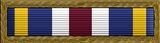 Joint Meritorious Unit Award